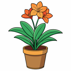 flower in a pot