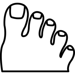 Human Feet Icon