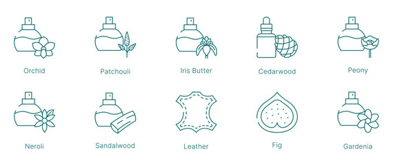 Naklejka premium Floral and Woody Fragrance Notes Vector Icon Set