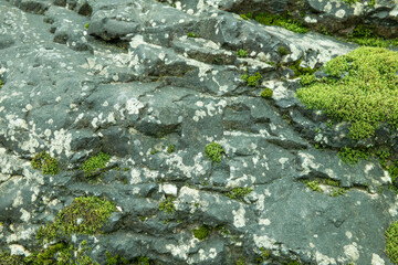 苔の生えた岩石のテクスチャー背景壁紙　自然・日本・山河の表面イメージ
