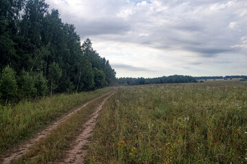 Fototapeta premium Dirt road in the countryside on a cloudy day