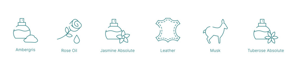 Rich and Sensual Fragrance Notes Vector Icon Set