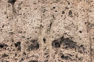 Closeup of a Textured and Natural Coral Rock Face