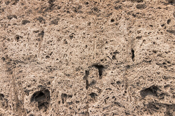 Closeup of a Textured and Natural Coral Rock Face