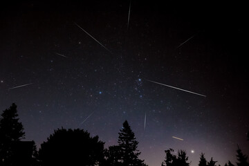 Milky Way stars with meteor shower trails and countryside tree silhouettes.