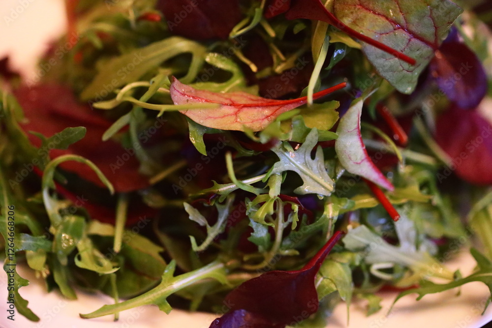 Poster fresh green and red vegetables arranged on a white plate for serving or styling.
