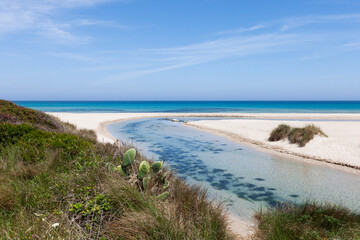 bacino Idume Spiaggiabella