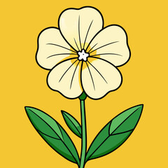 yellow flower on white background