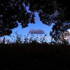 夕ぐれの雲