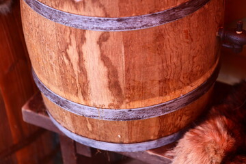 Fototapeta premium A domestic cat sits next to a wooden barrel in a casual pose.
