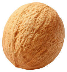 Close Up Studio Shot of a Single Brown Walnut on a Transparent Background