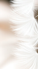 Soft white feathery texture creating a dreamy and delicate atmosphere. The airy and gentle composition evokes purity, softness, and lightness, ideal for beauty and wellness themes.