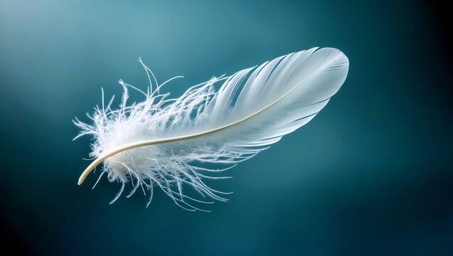 Delicate feather gliding on tranquil blue serenity