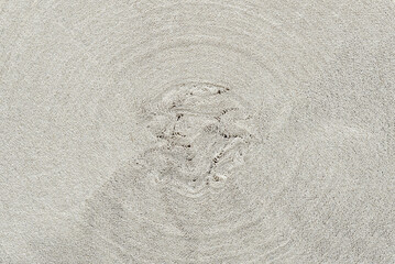 paper roll cross section front view