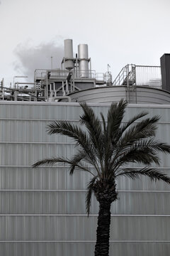 Metallic factory rooftop with chimneys and a palm tree, blending industrial and natural elements.