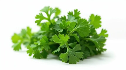 Fototapeta premium Fresh Green Parsley Bunch Isolated on White Background