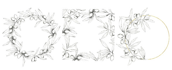 Olive branch pencil graphic illustration set of of frames, circular and square, highlighted with fine golden details. Perfect for decorative prints, cosmetics, soap, logos, or invitations