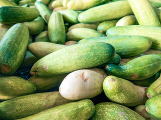 fresh cucumbers in the market