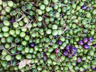 green beans background