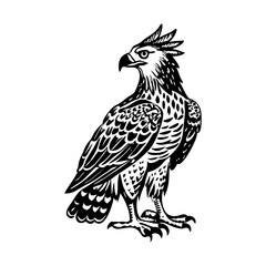 A vintage style illustration of crowned eagle