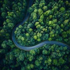 Winding Road in Emerald Forest: An aerial panorama of a winding road weaving through an emerald forest, a journey through a verdant canopy.