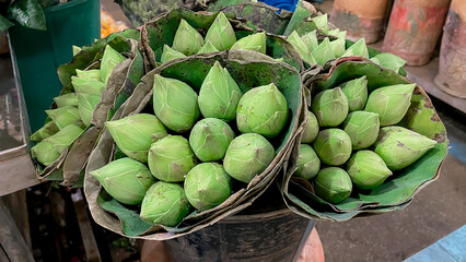 Sacred lotus Bangkok flower market,Bouquet of fresh green lotus buds at flower market