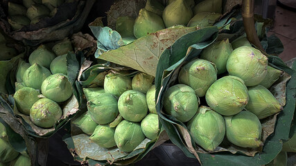 Sacred lotus Bangkok flower market,Bouquet of fresh green lotus buds at flower market