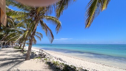 Paradise Beach with Palm Trees and Turquoise Waters: A tropical paradise with white sand, swaying palm trees, and crystal-clear turquoise waters.