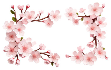 Fototapeta premium PNG Blossom flower plant dessert.