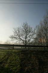 Photographie d'un paysage sous la brume avec une route et ses barrières de sécurité