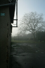 Photographie d'un paysage rural sous le brouillard d'un maison et son jardin