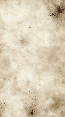 Obraz premium Vintage textured background with subtle stains, ideal for artistic or design projects