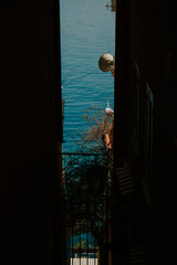 Positano, Amalfi Coast, Italy © Katarzyna
