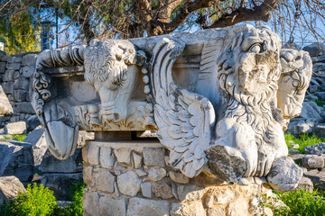 The ruins of Didyma are located a short distance to the northwest of modern Didim in Aydn Province, Turkey. It sits on a headland that in antiquity formed the Milesian Peninsula. Didyma was the larges
