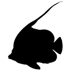 Longfin bannerfish black silhouette isolated on white background, profile view. Tropical sea fish Heniochus acuminatus shadow, side view. Pennant coralfish or Coachman fish, vector design eps 10