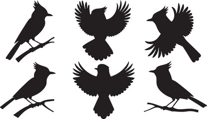 Obraz premium Sparrow silhouettes