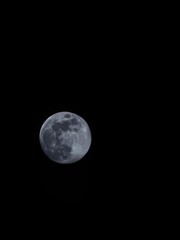 Fototapeta premium moon