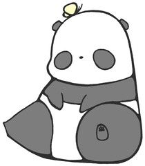 A baby panda with a butterfly on its head sitting and looking at you