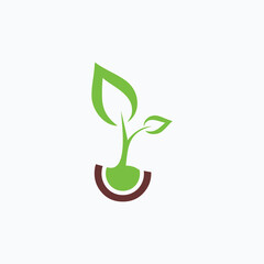 green plant growing logo vector design