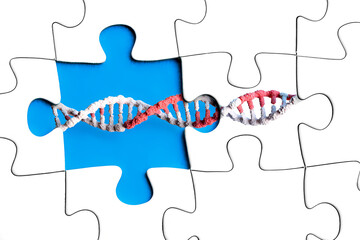 missing jigsaw puzzle piece and DNA chain - problem solving and  rare disease day concept, 300dpi, 3d illustration