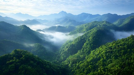 Naklejka premium Misty Green Mountains Aerial View