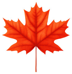 Naklejka premium Vibrant Red Maple Leaf Illustration on Transparent Background Symbolizing Canadian Heritage
