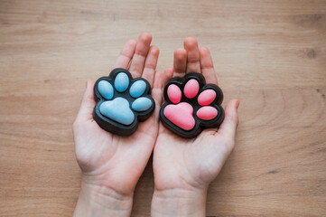 Taba paws blue and pink colorful toys antistress squish isolated on wood background.