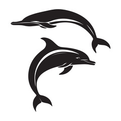 dolphin vector illustration on a white background