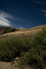 Scenic hillside with dry grass