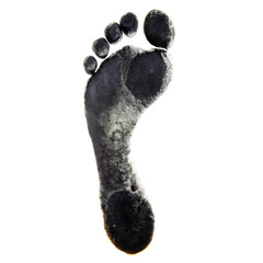 black footprint png, transparent background