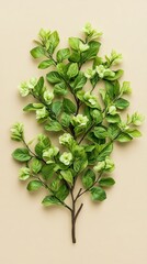Obraz premium illustration, pastel, spring, Delicate Green Vines with Tiny Buds and Leaves