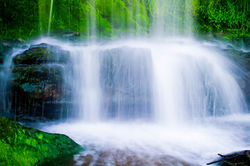 Obraz premium waterfall in the park