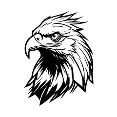 Obraz premium american eagle head vector