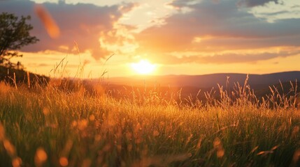 Serene sunset over a meadow with tall grass and distant hills.